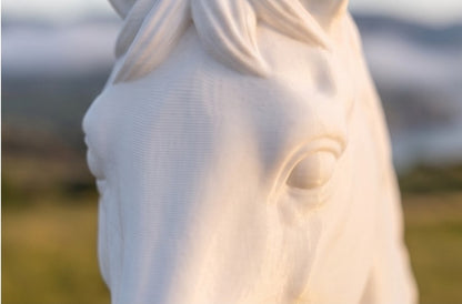 Horse Post Cap